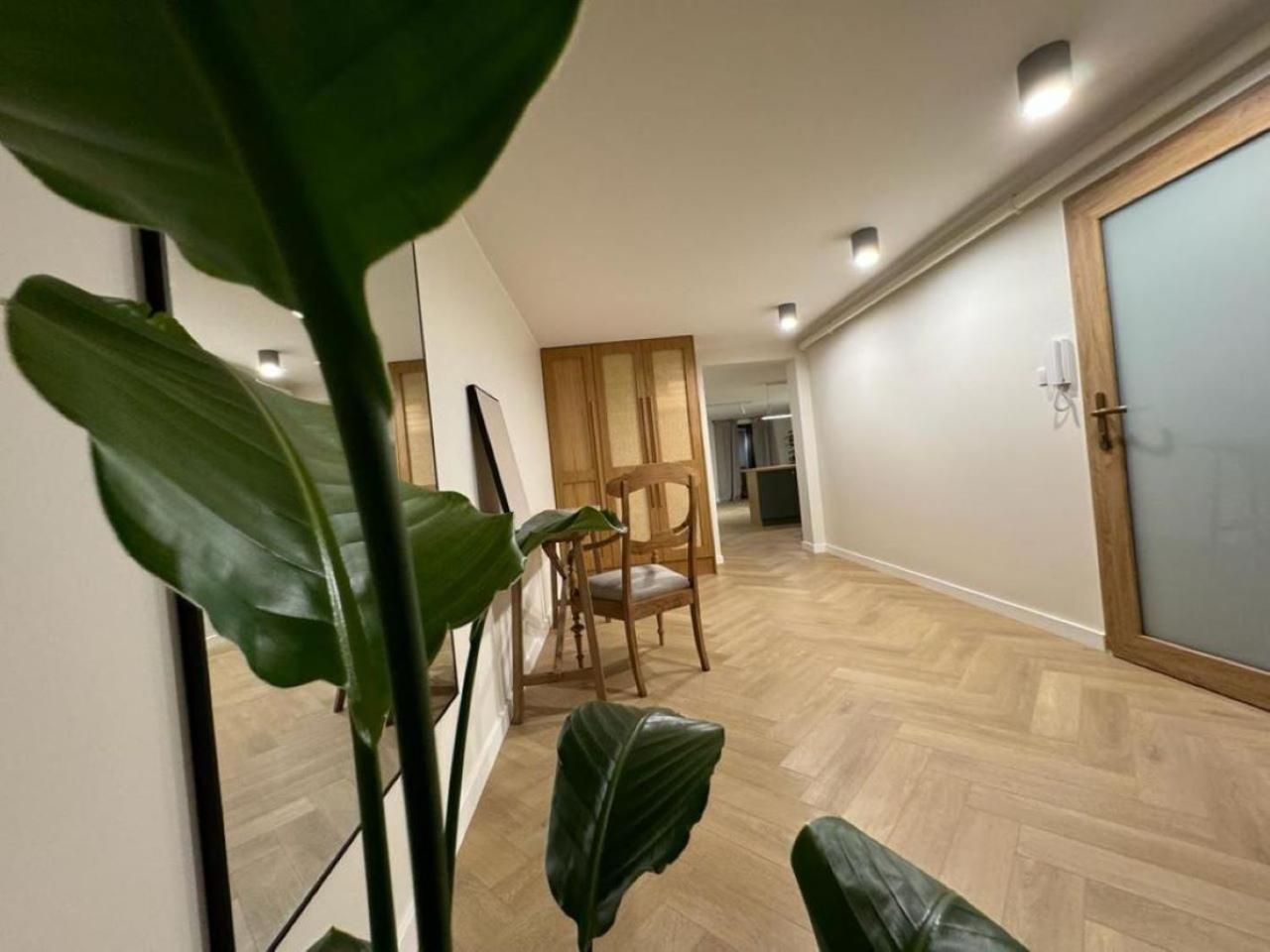 Apartament Ovoc 1.0 Chodzież Zewnętrze zdjęcie
